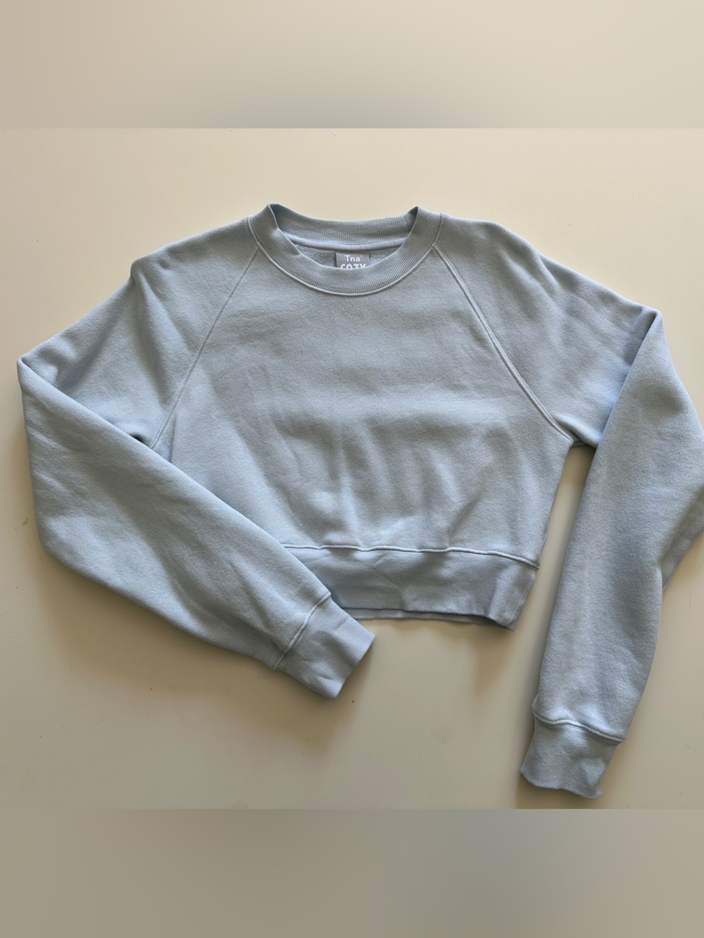 TNA Aritzia Light Blue Crewneck Cozy Fleece Perfect Crop Sweatshirt XS